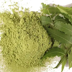 DOT Organics Neem Leaves Powder/Azadirachta Indica for Hair Growth/Hair Conditioning/Anti-Lice & Skin Care (100 G)