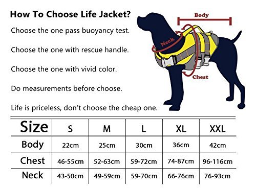 dog helios life jacket