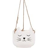 Sass & Belle Catâ€™s Whiskers - Mini vaso da fiori a forma di gatto