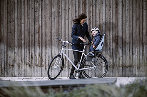Thule Yepp Nexxt Maxi Fahrradkindersitz Universalhalterung momentum 2017 Fahrradsitz Kinder - 5