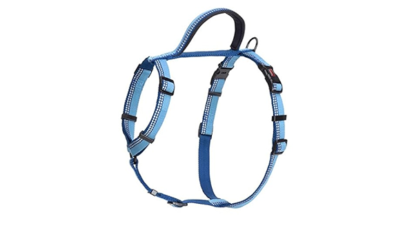 halti walking harness