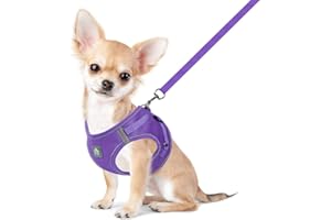 FEimaX Arnés para Perro y Conjunto de Correa, Acolchado con Malla Suave, Chaleco para Cachorros Reflectante y Ajustable para Perros y Gatos Pequeños