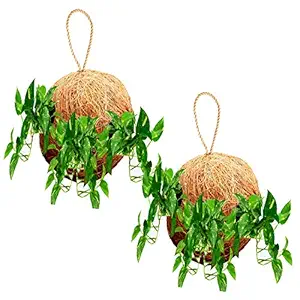 LIVEONCE Round Ball Coir Made Planter Hanging Set of 2 Used AS Railing planters,Hanging planters,Poly Grow Bags,Plant Stands,Plastic pots,Desk pots,Clay pots,Ceramic pots