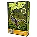 Produktbild Discover with Dr. Cool Insekten Ausgrabungsset – 3 echte Insekten zum Ausgraben, Entdecken und Sammeln!