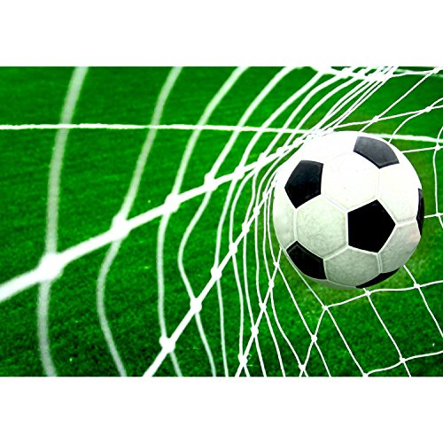 Fototapete Fussball 396 x 280 cm – Vliestapete – Wandtapete – Vlies Phototapete – Wand – Wandbilder XXL – !!! 100% MADE IN GERMANY !!! Runa Tapete 9050012a - 6