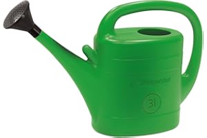 PROSPERPLAST Prosper Plast Iksp03-g642 Printemps 39.4 x 12 x 26.5 cm Arrosoir – Vert