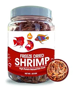 Boltz Freeze Dried Shrimp Treats -50 gm, Natural Food for Freshwater and Marine Fish