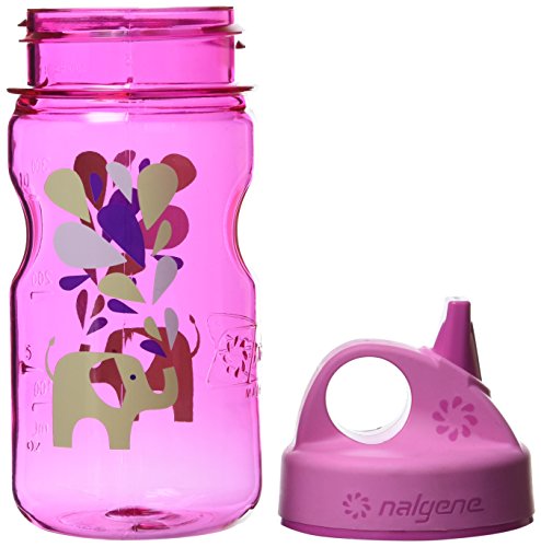 Nalgene Grip N Gulp Everyday Bottle