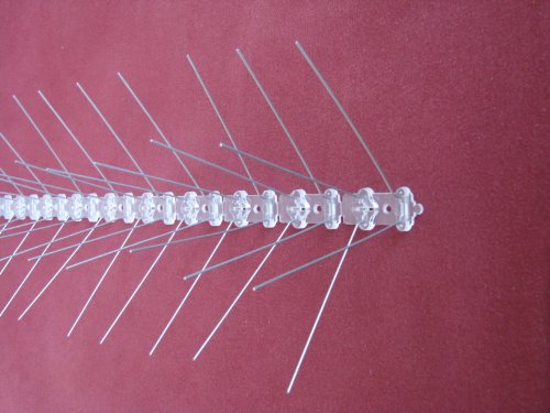 50 cm 4 reihig Edelstahl Taubenabwehr Vogelabwehr Taubenspikes Polycarbonat Profiqualität jetzt mit A+ Zertifizierung von MD - 2