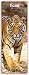 Tigers - Tiger 2019 (Slimline-Kalender) by