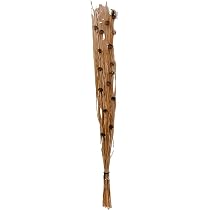 Ramo Decorativo De Flores Secas Hogar Y Más - 100cm