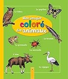 Cover zum Buch Mon imagier coloré des animaux