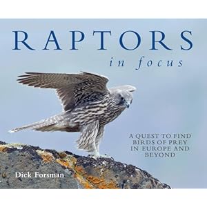 Raptors in Focus