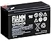 Price comparison product image Fiamm ic-12fgh36 – LEAD BATTERY 12 V 9 AH (Faston 6.3 mm)