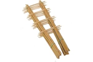 DIXIE STORE Trellis Bamboo Set of 10 Pieces Length 75 cm - Tomatoes Trellis Cucumbers - Trellis for Climbing Plants Cucumbers Trellis Tomatoes - Vine Aid for Plants Pot 2S