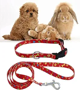 Pedigone 0.5 Inch Puppy Kitten Bunny & Rabbit Collar Belt