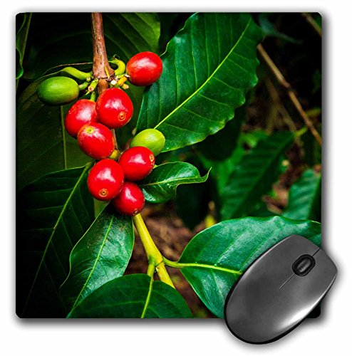 Preisvergleich Produktbild 3drose 1 strapazierfähigem Mauspad (MP _ 259240 _ 1)