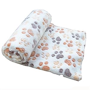 Cdet Alfombra Manta para Mascotas otoño e Invierno Manta cálida Terciopelo de Coral Grueso,Blanco,60 * 40cm