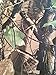 Produktbild Wasserdicht Camo Stoff Holz Land Realtree Material Zelt Shooting Cover Stoff 1 m Länge Breite 150 cm