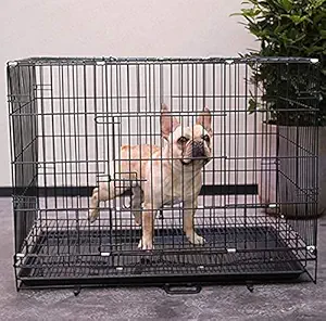 RvPaws Double Door Folding Metal Dog Cage with Paw Protector(Size :24 Inch) Black Silver Color