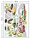 KAMAY'S® Removable Children's Rooms Cartoon Car Track Decor Wall Stickers XY1160