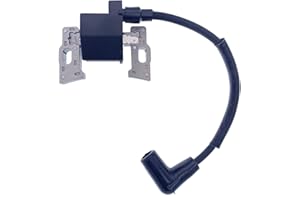HEPENG Ignition Module Coil fit for Honda 30550-Z0A-033#2 Ignition Coil Assy Fits GCV520 GCV530 GXV530