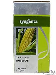 SYNGENTA HYBRID F1 SUGAR-75 SWEETCORN SEEDS (1KG)