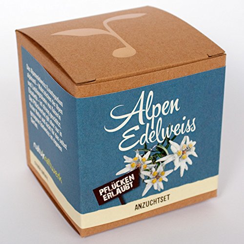 Geschenk-Anzuchtset Alpenedelweiss