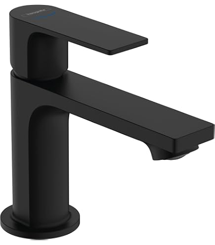 hansgrohe Rebris S - wastafelarmatuur met trekstang en afvoer, draaibaar, waterkraan voor badkamer met uitloop, hoogte 222 mm, waterbesparende kraan (EcoSmart), chroom, 72536000