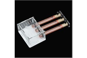 KXCR Acryl Ameisennest 3 Reagenzgläser Ameisenfarm Haustier Ameisenhaufen Natürliches Ökologisches Formicarium Villa Haus Ameisen Futterbox Werkstatt (Color : B)