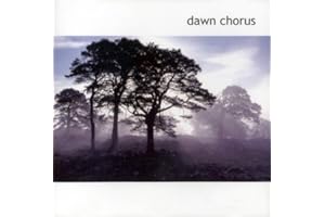 Dawn Chorus