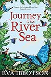 Journey to the River Sea by