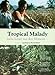 Tropical Malady - Liebe kennt nur den Moment ... (OmU)