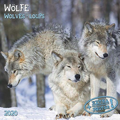 Télécharger Wolves/Wölfe 2020: Kalender 2020 (Artwork Edition) PDF Ebook En Ligne
