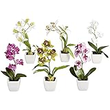 Amazon.de: Mini Alpenveilchen Veilchen Blume Kunstblume