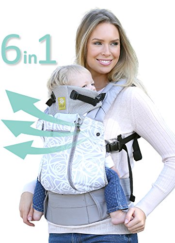 SIX-Position, 360° Ergonomic Baby & Child Carrier by LILLEbaby – The COMPLETE All Seasons (Frosted Rose)