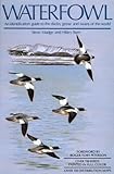 Image de Waterfowl: An Identification Guide to the Ducks, Geese and Swans of the World