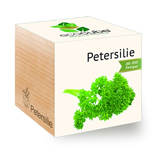 Preisvergleich Produktbild Petersilie im Holzwürfel
