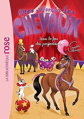 Hachette Jeunesse Mes amis les chevaux, tome 9 : Sous le feu des projecteurs