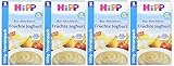 Hipp Bio-Milchbrei Früchte Joghurt