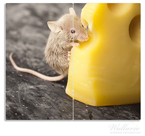 Wallario Herdabdeckplatte / Spritzschutz aus Glas, 2-teilig, 60x52cm, für Ceran- und Induktionsherde, Süße Maus knabbert an einem Käse in der Küche