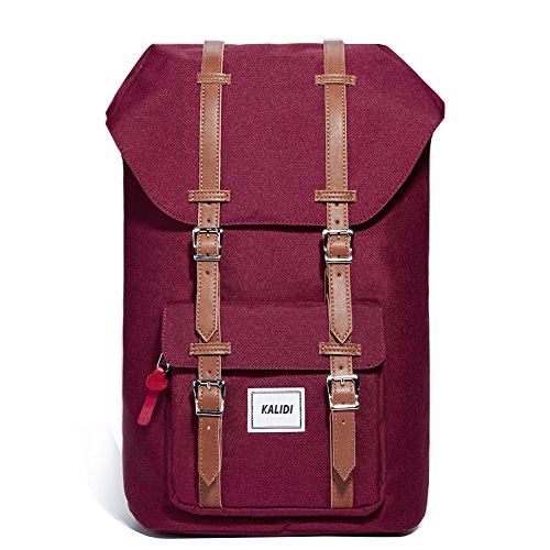 KALIDI 17 Zoll Laptop Rucksack Backpack Schulrucksack für bis zu 15.6 zoll Laptop Notebook Computer Arbeit Campus Studenten Outdoor Reisen Wandern mit Großer Kapazität