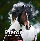Pferde 2012 by