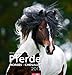 Pferde 2012 by