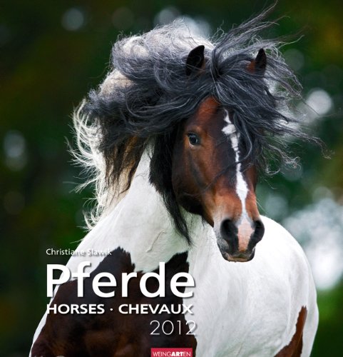 Pferde 2012