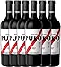 Produktbild 6er Paket - Puro Corte 2017 - Dieter Meier | trockener Rotwein | argentinischer Biowein aus Mendoza | 6 x 0,75 Liter