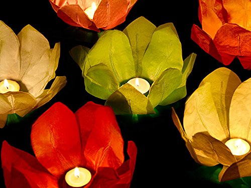 Schwimmlaterne XXL schwimmende Laterne – Blüte Wasserlaterne Hochzeit 6 Stück von Haus der Herzen ® - 4
