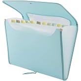D.RECT 5590 Expanding File Folder A4 | Accordion Folder Document Sorter with 12 Compartments | Accordion Folder | Mint
