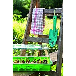 Romberg Serra M (cavità per pastiglie Sorgente, grondaie, Coperchio con Fori di aerazione e cursore) Verde