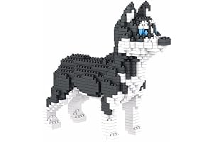 Husky Sibérien